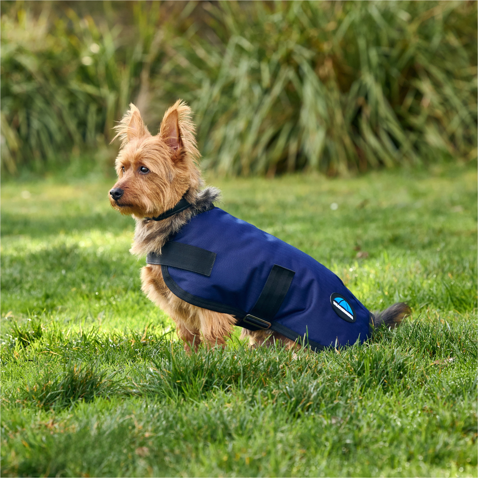 2025 Weatherbeeta Comfitec Classic Waterproof Dog Coat 1029048 - Navy